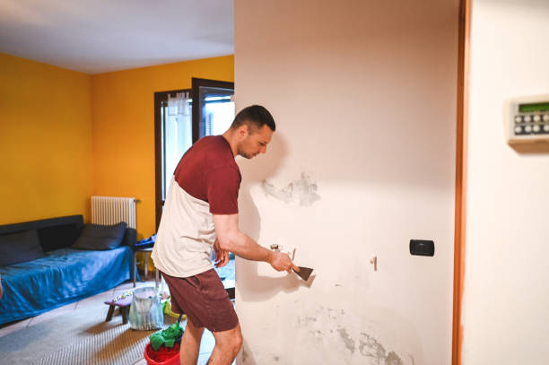 Best Attic Mold Removal  in Palmyra, WI